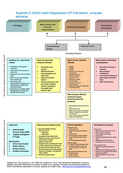 WHO Amputee Assessment Framework