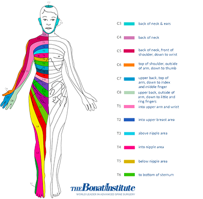 Body Pain Identification